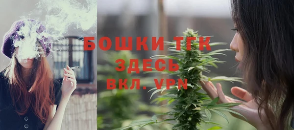 гашик Верея