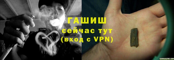гашик Верея