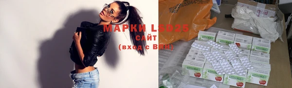 гашик Верея