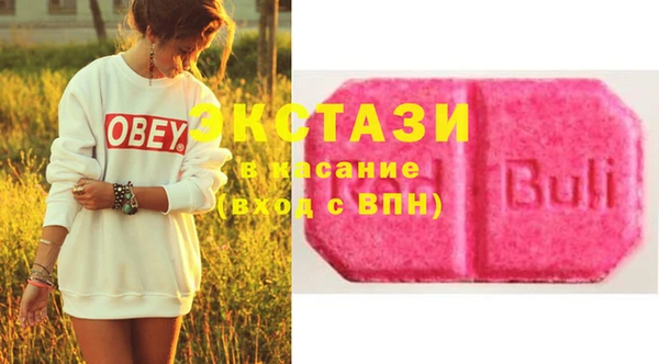 ECSTASY Горняк