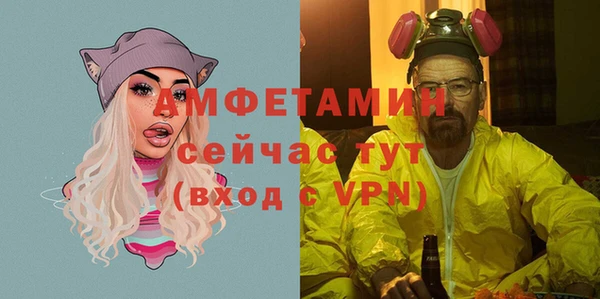 гашик Верея