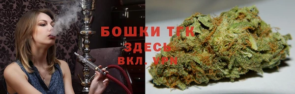 гашик Верея