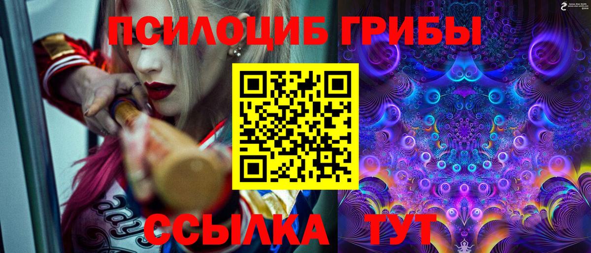 Псилоцибиновые грибы Psilocybine cubensis  Вход с VPN  Великие Луки  закладки  Псилоцибиновые грибы Cubensis 