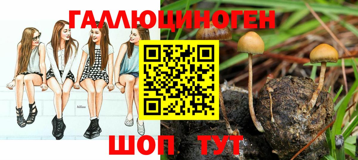 Галлюциногенные грибы прущие грибы Великие Луки